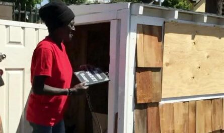 Мужчина построил крошечный домик для бездомной, которая 10 лет провела на улице