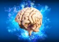 10 любопытных фактов о мозге