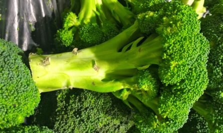 15 интересных фактов о брокколи