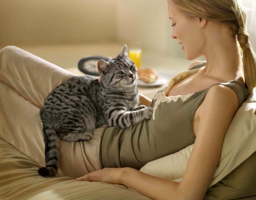 Почему кошки мнут лапками одеяло, одежду и человека?